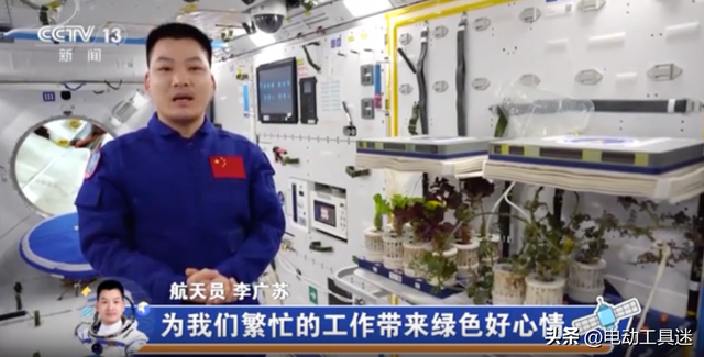 空间站菜园大丰收，生菜打包存储，升级种植设备后实现了吃菜自由