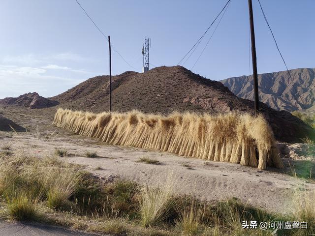 汉明长城（永昌段）
