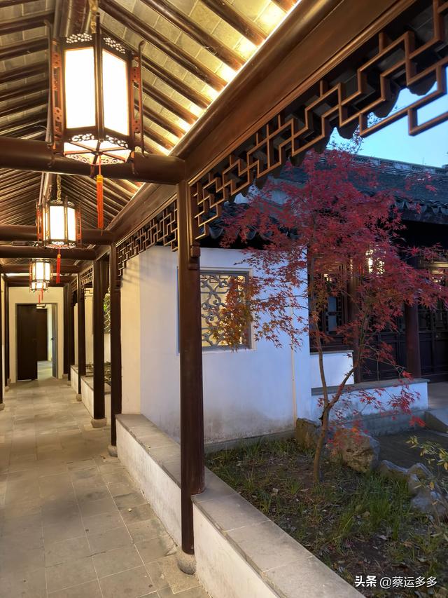 沪上园林古猗园已达颜值巅峰