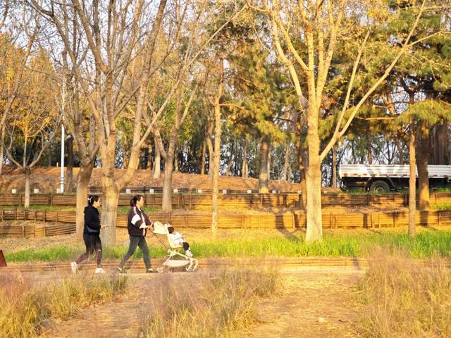 发现丰台之美 | 诗意北宫，醉美金秋