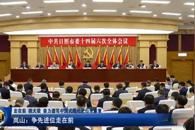 走在前 挑大梁 奋力谱写中国式现代化山东篇章｜日照岚山：争先进位走在前图片