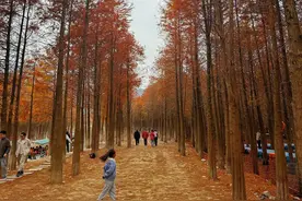 “318皖南川藏线”，两日一晚自驾游，坎坷并快乐图片
