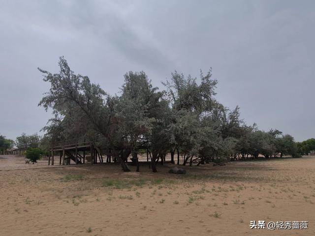 塞上江南宁夏，一个被严重低估的旅游大省