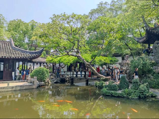 上海打工人周末“出逃”计划！这些周边宝藏地藏不住了！