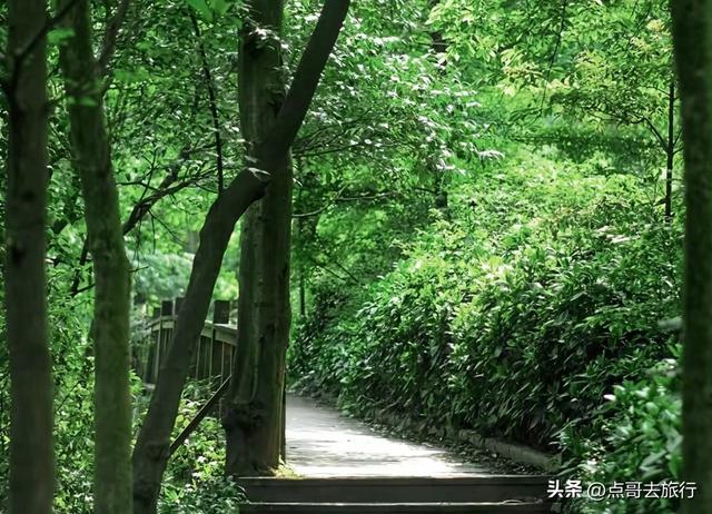 成都难得的清凉徒步胜地，在都江堰隔壁，不要门票，超级凉爽。