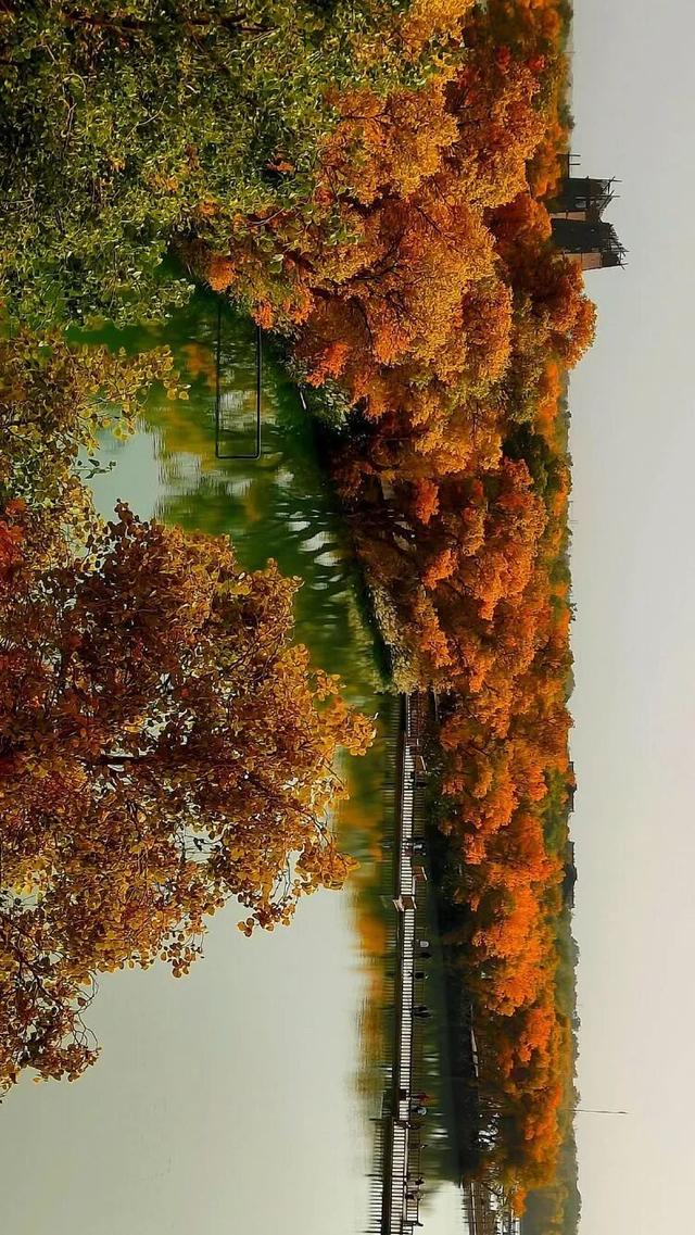 邢强 | 秋游南疆