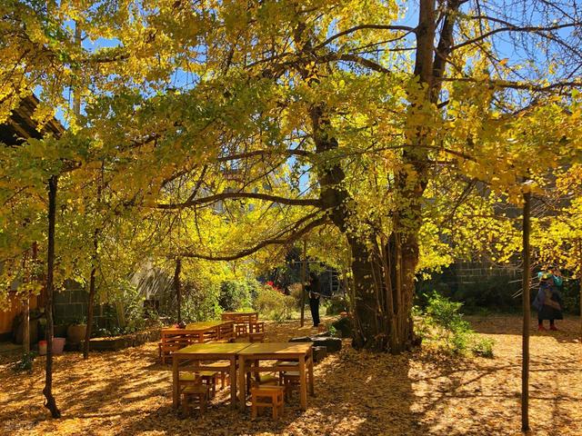 11月-1月，秋冬来云南，这10处绝美风景，是最佳观赏期