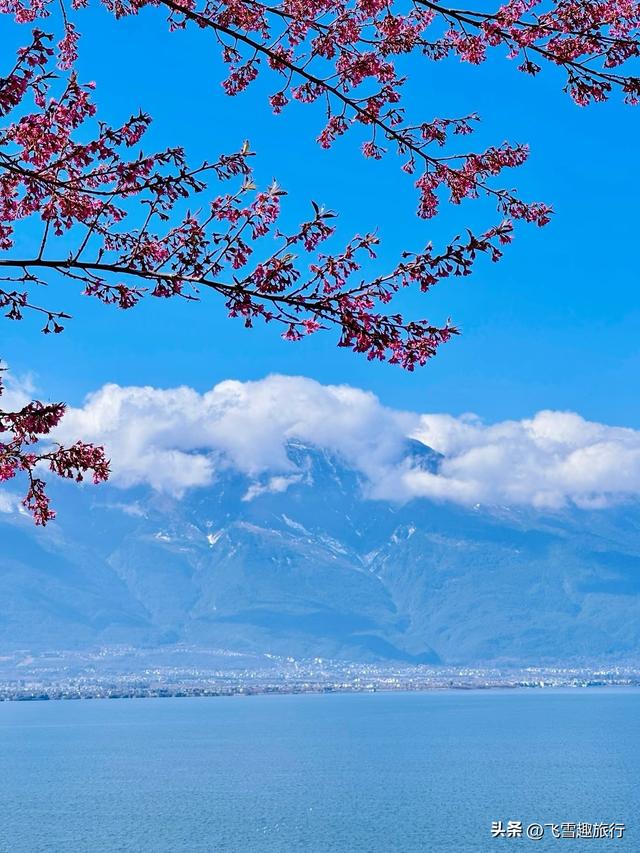 国内十二月出游攻略：五大精选目的地，带你尽享冬日绝美风情