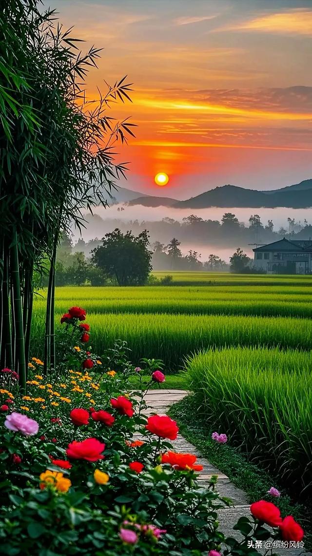 早上晚上最美的风景