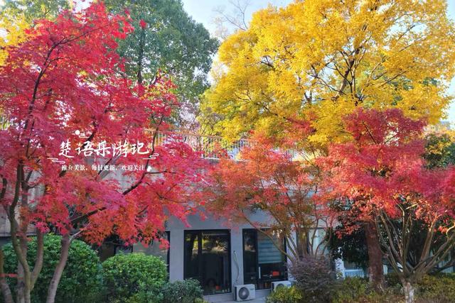 浙江宁波的绝美风景，犹如多彩的田园风情画，拍照与休闲都是一绝