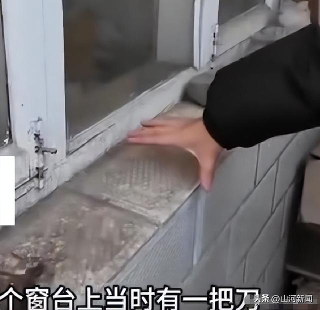 狗主人被反杀案开庭，9人闯门打砸，妻子后悔冲动，更多细节披露