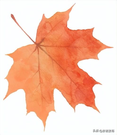 “秋假”来了！到这些地方安逸耍