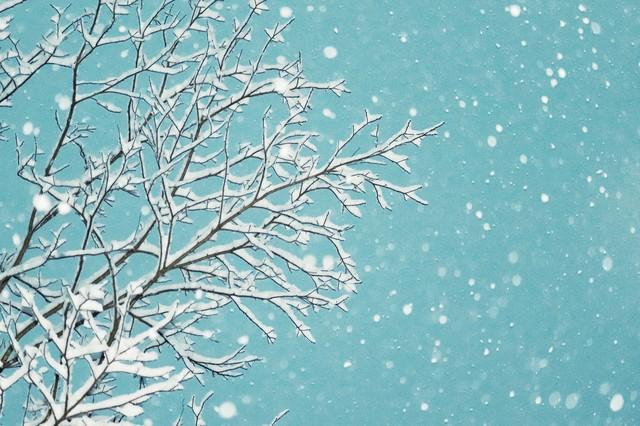 “最怕大雪是晴天”	，明日大雪，大雪晴有啥预兆？