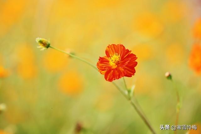 男人如何去刺激女人的荷尔蒙？方法很简单，不信可以试试。