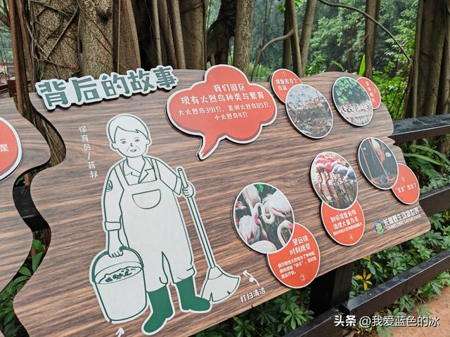 参观广州长隆野生动物园，全程感觉眼累手累腿不累