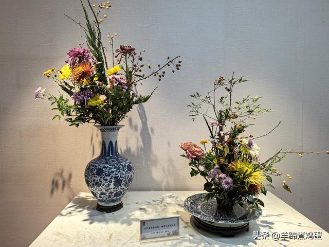 秋风独宠一园菊，晚来香艳出樊篱——北京北海公园2025年菊花展