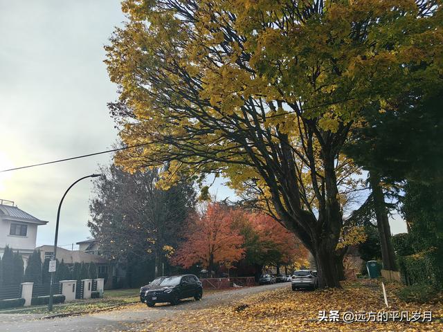 温哥华游记（五）