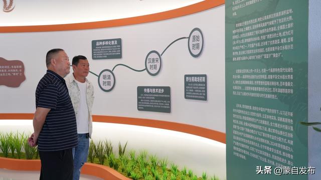 蒙自市草坝镇粮食文化展厅揭牌启用