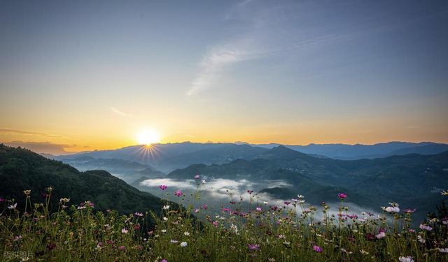 到山里去，8个森林环抱的好地方，过几天山居生活，回归纯粹