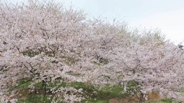 这个被严重低估的城市，竟然藏21个小众宝藏地！