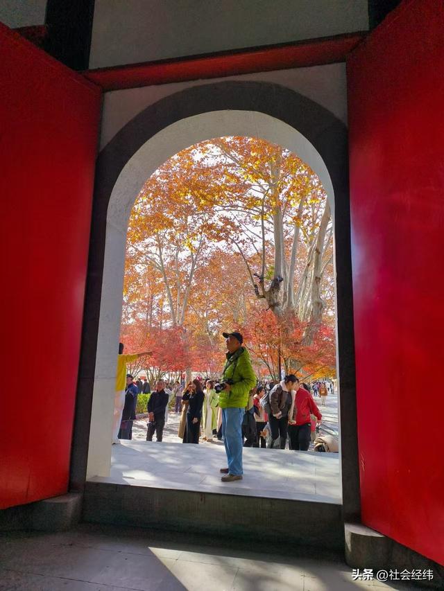 枫染栖霞醉金陵！明秀山红叶铺就秋日限定画卷