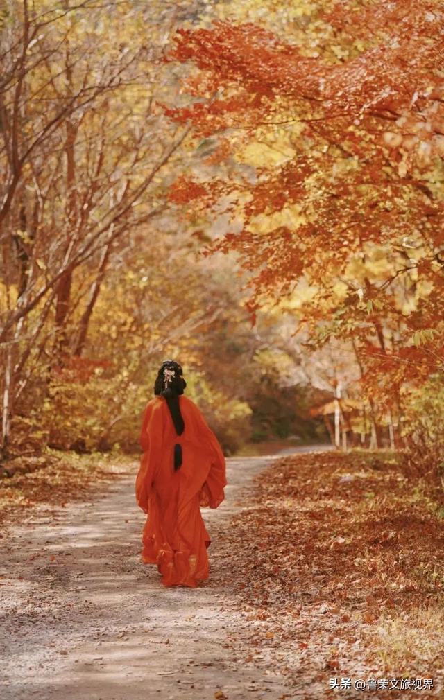 本溪：北国红枫深处的诗意秘境