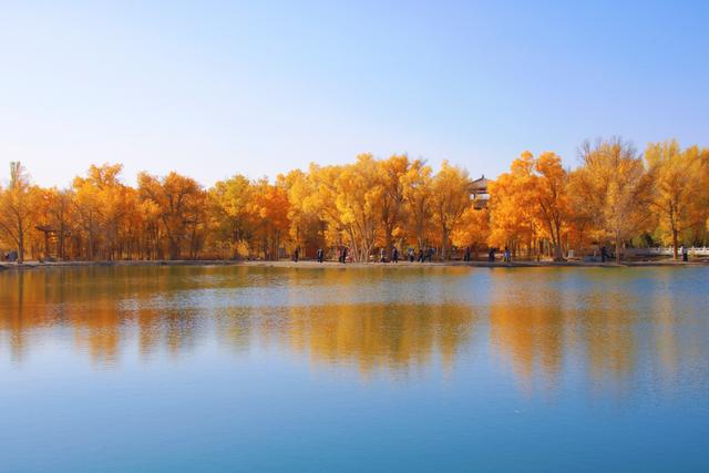 酒泉金塔胡杨林，时光凝固成美丽的神话，奔赴一场秋季的浪漫之旅