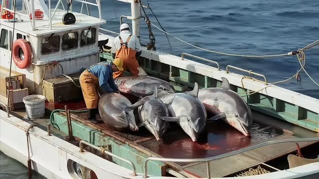 新导演想讲新故事，不再只能等机会