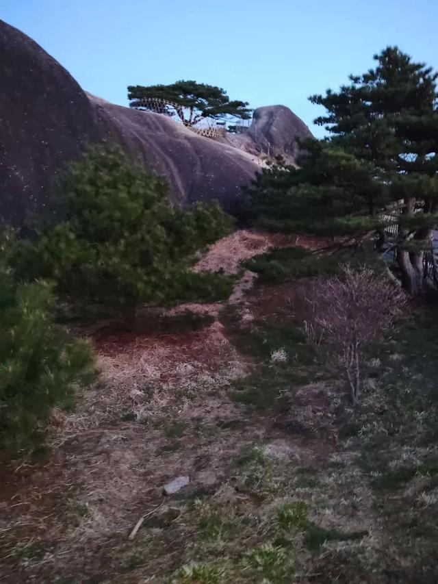 漫步黄山松掩山丛树杪，云隐仙踪徒步蹬道千阶