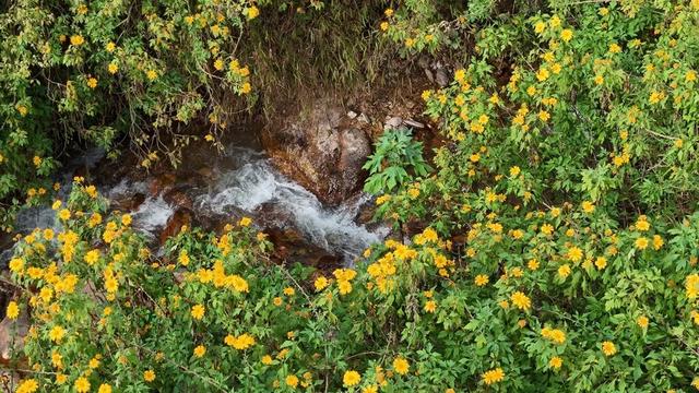 累了！就到这条路上走走，它也许是你逃离喧嚣的“心灵驿站”