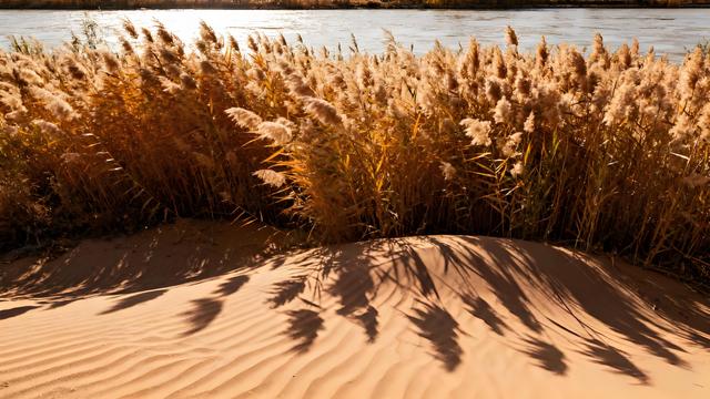 朔风拂过贺兰山，秋韵漫染湖城间 —— 塞上江南的鎏金诗卷