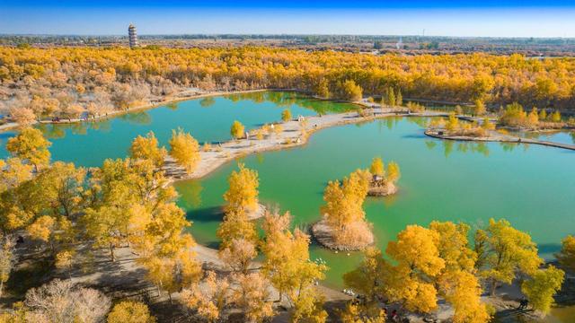 2025赏秋地图，9月-12月的绚烂秋景，真的太全了