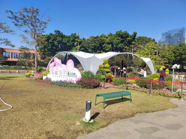 花城看花看灯饰