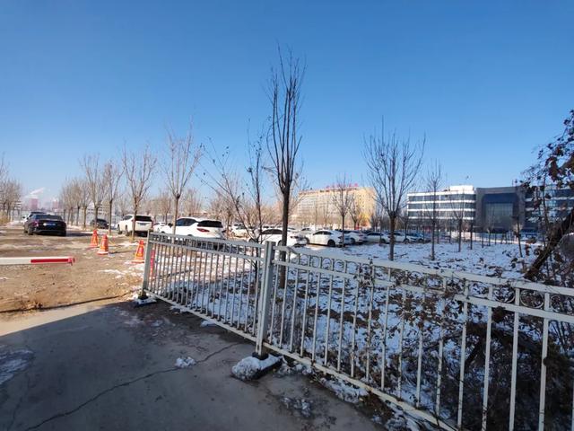 德州原城隍庙里种上了树，重修城隍庙有必要吗？