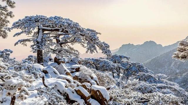 五元纸币隐藏款彩蛋曝光！风景原型地90%游客都走过了界