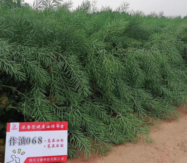 中国最不好惹的一个省！半个中国都要依赖它，还能在战时承接产业