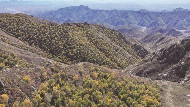 秋韵马鞍岭