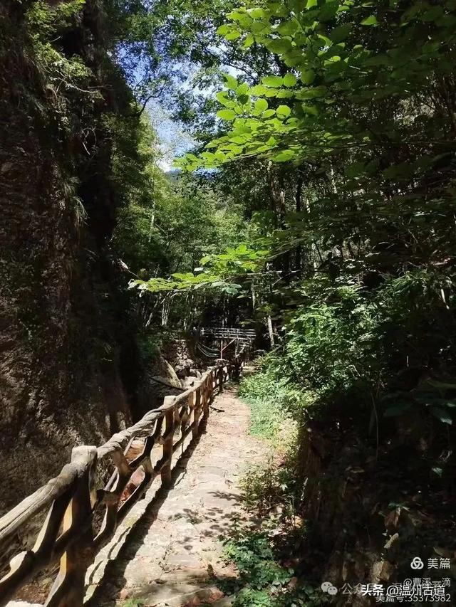 温州高山峡谷隐藏的小众秘境,驴友的瀑降宝藏地!雨后风光绝佳!