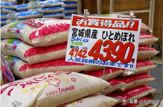 防“暴跌”还是保利益？日本大米调控的荒唐逻辑