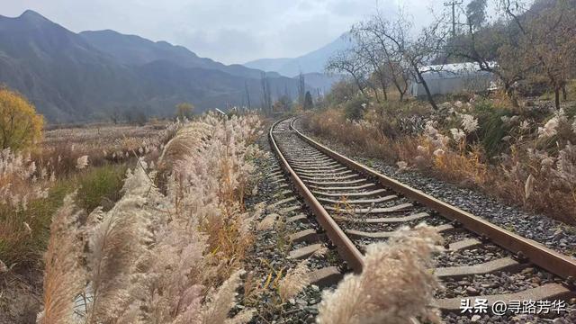 秋日从恐龙地址公园,沿铁路,伴着黄河,徒步至太极岛