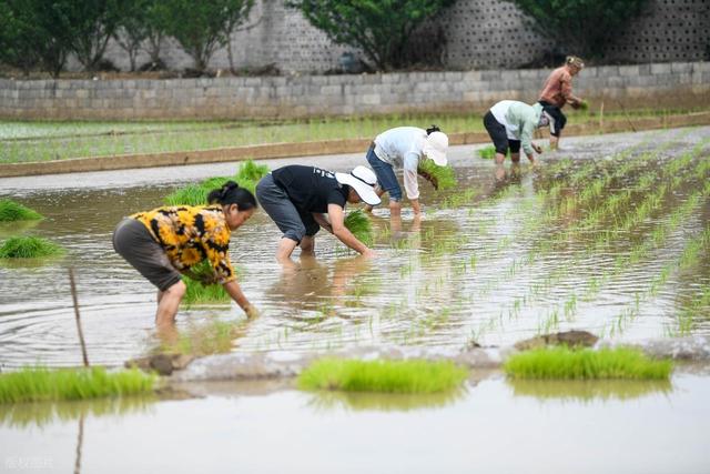 夏天22℃的小城，真能托付晚年吗？有人留下有人离开！