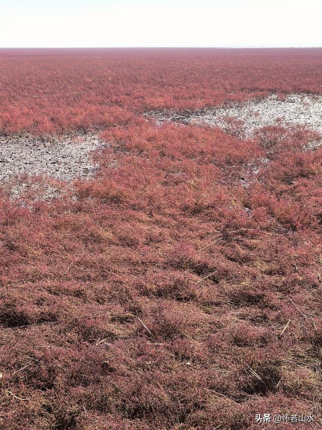 2025辽宁赏秋之旅日记(5)——从本溪前往盘锦 游览红海滩景观