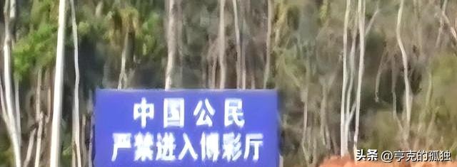 边境赌博有多可怕？女的裸体拍卖，男的生拔指甲，远比想象中可怕