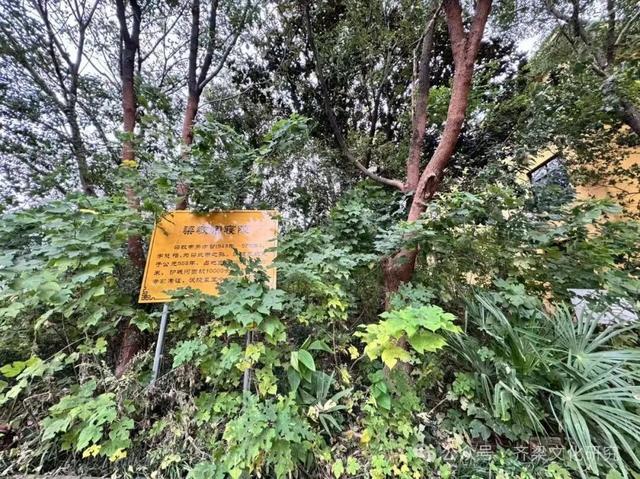 探秘江阴南朝梁敬帝萧方智陵墓，江阴因他而得名