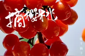 红河的樱桃，可以摘了🥰图片