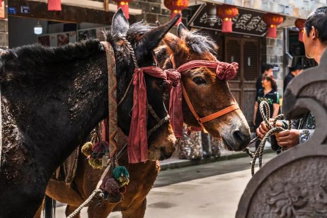 走，去水磨！在青瓦老街里“躺平”一个秋天