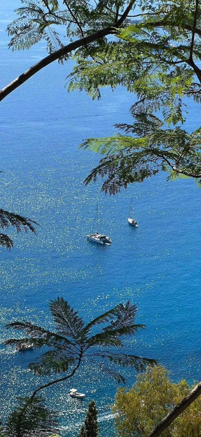 手机壁纸|夏日