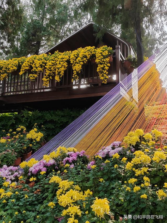 开封万岁山武侠城之约