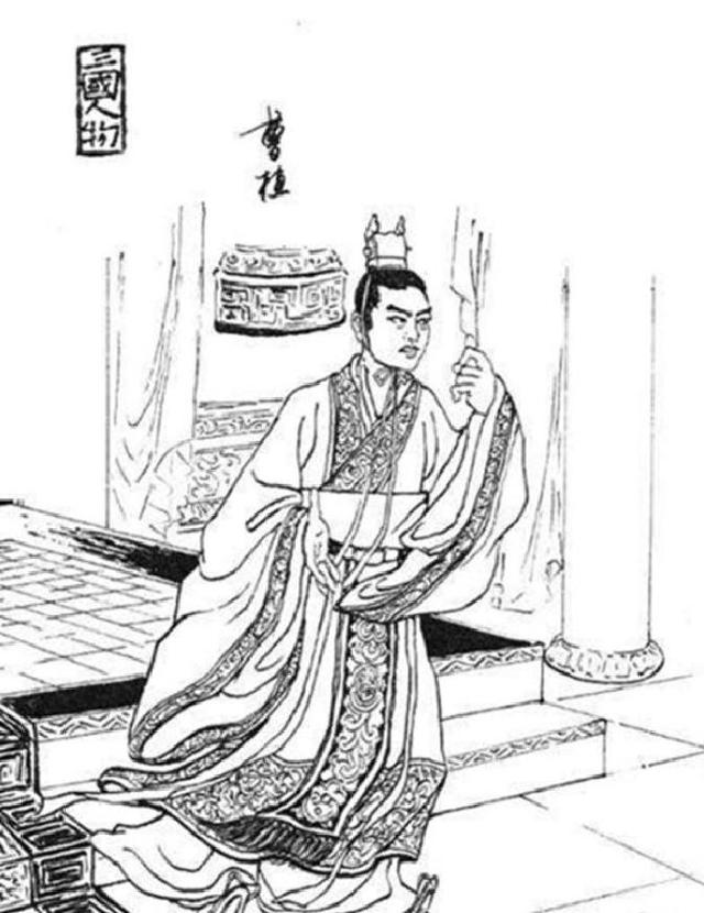 看了鸨鸟怎么交配，才知道古代青楼的老板娘，为何都叫“老鸨”！