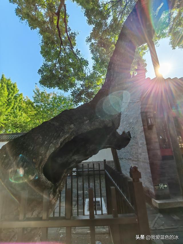到保定旅游，其他地方可以不去，但这个景点必须要来参观